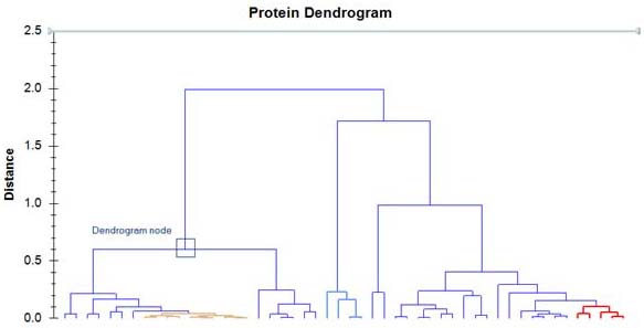 img/dendrogram1.jpg